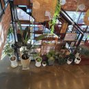 자세히 보아야 예쁘다 | [거제 뚜벅이] 조금 늦은 기록 : 버스로 다녀온 희래등 &amp; 델라하이 "바다는 멀리서 보아야 예쁘다"🚌🥢🍓