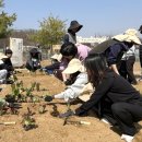 낙성대동-28 이미지