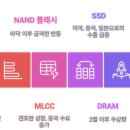 삼화씨엔에스 이미지