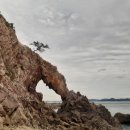 서산해신낙지