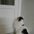 두리동물클리닉 이미지