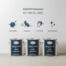 던에드워드페인트 이미지