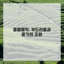 헤어공간 이미지