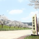 마리스타보호작업장