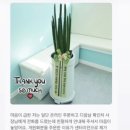 미미화원 이미지