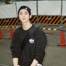 갈라파꼬치 이미지