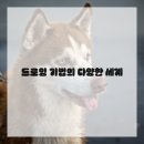 드로잉 표현 기법 이미지