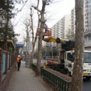 서구-20 이미지