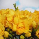 행복한선물 이미지