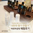 꽃향앤 다육 | 윤스킨앤바디 사당피부관리 추천, 나만의 향을 찾은 아로마 클래스 후기