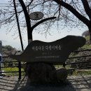 남해-306 | 남해 유채꽃 실시간 개화 상황(2026.3.28.)｜다랭이마을, 파라다랑스 외 사진스팟 추천