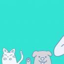 와이피글로벌 이미지