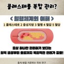 HDL 콜레스테롤 높으면 문제일까? LDL HDL 함께 관리한 후기