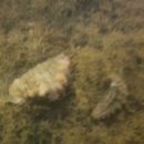 해삼농장 이미지