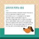 헤어모드 이미지