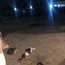 토함산락글램핑 | 토함산락 글램핑 1박2일 경주여행 꿀팁
