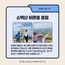 철가방반점 이미지