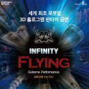 인피니티플라잉 이미지