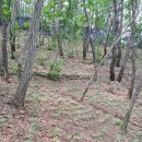 횡성농장 이미지