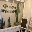 카이로운동센타 이미지