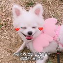 에스에스글로벌 이미지
