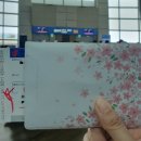 440 | 에어차이나(중국국제항공) 인천-충칭 직항 항공편 CA440, CA439 탑승, 기내식 후기