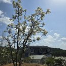 주문진펜션 청유 이미지