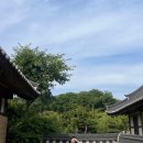 교촌길(동) 네이버블로그