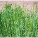 경화어린이집 이미지