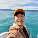 오수덕농장 | 캠퍼밴여행] 5-6일차 : 카이코우라 돌핀스윔ㅣ아카로아 알파카농장 투어ㅣ아카로아 TOP 10 홀리데이 파크