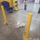 노란문약국 이미지