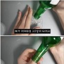 소주 처음 먹어본 20살의 생각 이미지