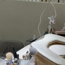 오원빌딩 | 연예인도 다니는 샵 압구정로데오 네일 "서영언니네일 앤 뷰티크 압구정로데오점" 원컬러 네일 후기