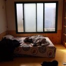 슬로우팜체험펜션 이미지