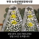 뉴대성병원 | 뉴대성병원장례식장으로 근조화환을 당일 내 빠르게 배송해드립니다.