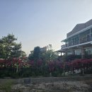 제부도 힐링펜션 이미지