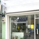 모프(MOF)