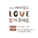 데일리독 이미지