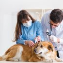 단원병원뒤 이미지