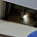 [바퀴119엑스터] 바퀴벌레 방역 해충방역 엑스터 리뷰