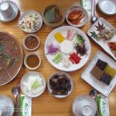 꿀참나무 이미지