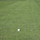 사이프러스CC 이미지