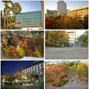 홍익대학교 이미지