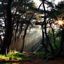 아침햇살한의원 이미지