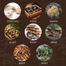 베타 | 베타글루칸추천! 7종 버섯베타글루칸 골드베타569 솔직후기