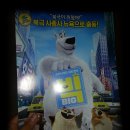 (주)영모터스 이미지