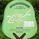 제주홍익여행사(주) | 제주도 힐링여행 코스(제주 곶자왈도립공원/주상절리대/석부작테마공원 등/대전홍익관광여행사