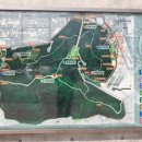 용인중앙근린공원(말아마당 놀이터) 이미지