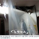 243..2025년 9월 18일 ( 2010년 9월3일...서울의 쪽방촌 ) 이미지