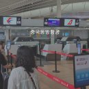 신한항공(국내) | 칭다오 항공권 중국동방항공 카운터 위치 이코노미 vs 비즈니스 기내식 및 칭다오 공항 라운지 이용 후기